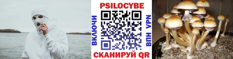 Галлюциногенные грибы мухоморы  Смоленск 